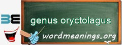 WordMeaning blackboard for genus oryctolagus